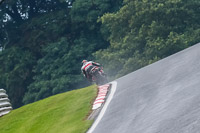 PJ-Motorsport-Photography-2020;anglesey;brands-hatch;cadwell-park;croft;donington-park;enduro-digital-images;event-digital-images;eventdigitalimages;mallory;no-limits;oulton-park;peter-wileman-photography;racing-digital-images;silverstone;snetterton;trackday-digital-images;trackday-photos;vmcc-banbury-run;welsh-2-day-enduro